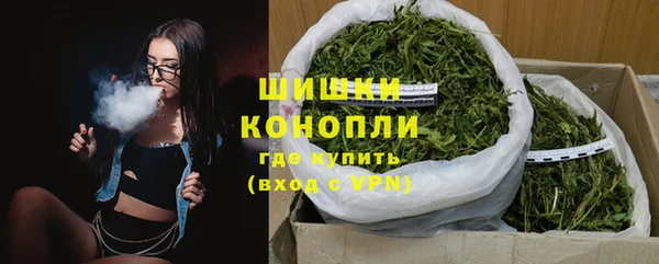 индика Новокубанск