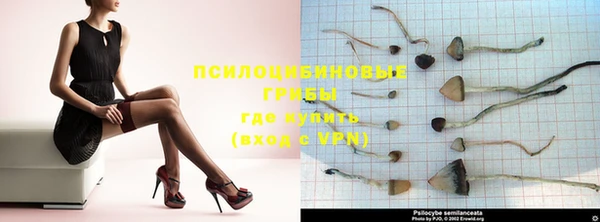 первитин Абинск