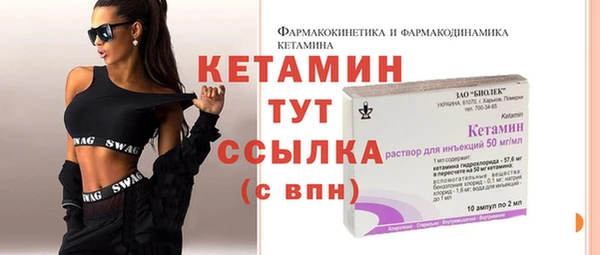 прущие крисы Новозыбков