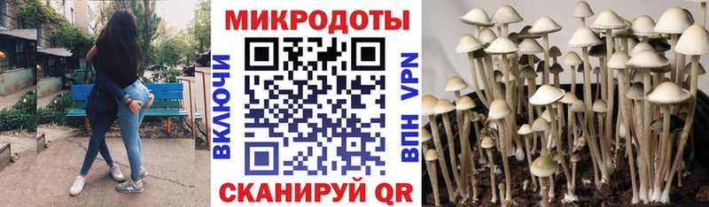 магазин    kraken ONION  Псилоцибиновые грибы Psilocybe  Барыш 