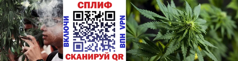 Бошки марихуана тримм Барыш