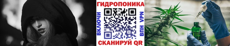 Марихуана план  где можно купить   Барыш 